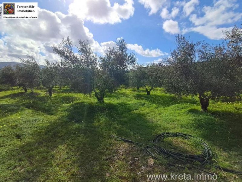 KALIVIA Kreta, Kalivaia Olivenhain 55 Bäume Ein persönlicher Rückzugsort inmitten der Natur Grundstück kaufen